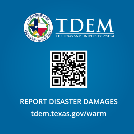TDEM-Report-Damages